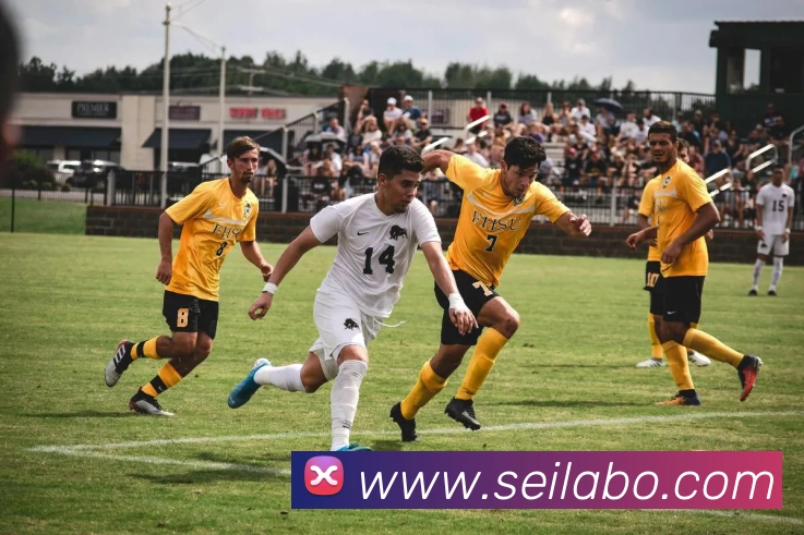 赛事专题整合